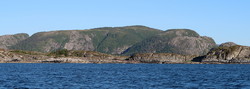 Svanhaugan