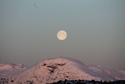 Fristadfjellet