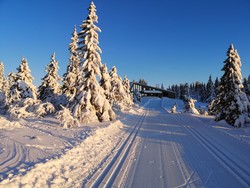 Rausteinshytta