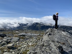 Simlenuten