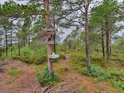 Storvarden