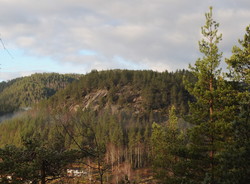 Innleggkollen