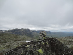 Dyrskarnuten