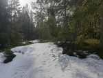 Holåsen