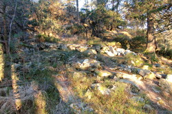 Johnsahytta (ruin)