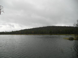 Slomhaugen