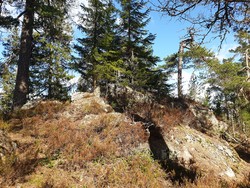 Linfjellet