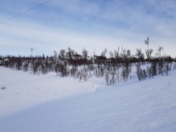 Kjerringhola