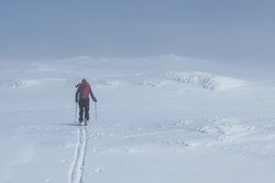 Vest for Sekkebreen