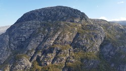 Gangdalsnuten