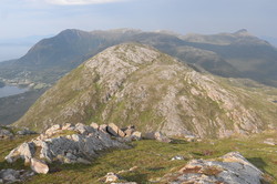 Blåhammaren