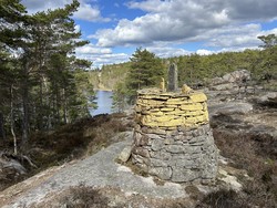 Riksrøys G