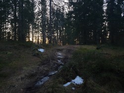 Linderudseterhøgdene