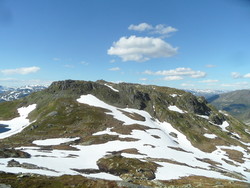 Svartenuten