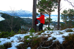 Melsåsen