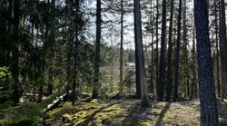 Eievarden