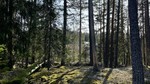 Eievarden