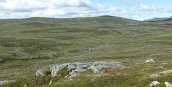 Nonstjønnhaugen