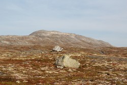 Gammelurkollen