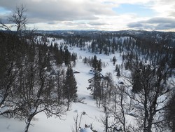 Nedre Lega P-plass