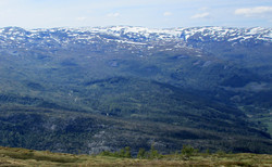 Løkjahovden
