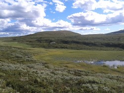 Søre Risåhøgda