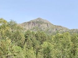 Raudnuten