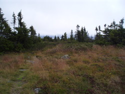 Ytre Nysæterhøgda