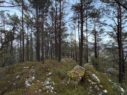 Aust for Ramnafjellet