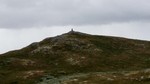 Bleste