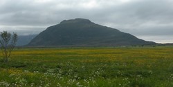 Hoven