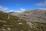 Skudalsnipa