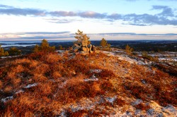 Jamtfjellet øst