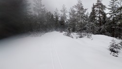 Kropptjerntoppen