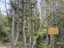 Månen