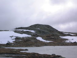 Jensheia
