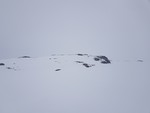 Mellafjellet