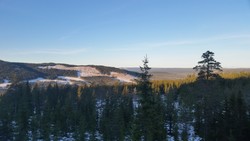 Fuglehaugen