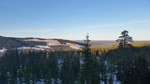 Fuglehaugen