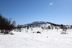Semlehøvda