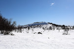 Semlehøvda