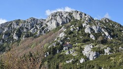 Risnjak
