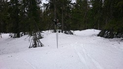 Torgseterhøgda