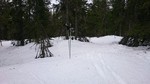 Torgseterhøgda