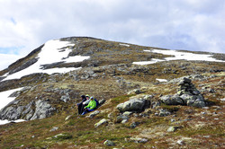 Dyreberg nord