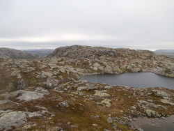 Høgaloft