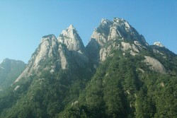 Lotus peak