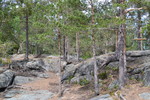 Tinnskollen