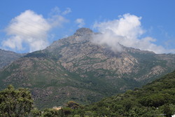 Cima di e Follicie