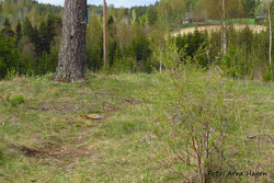 Kvernhusberget